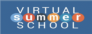Virtual Summer Virtual Summer